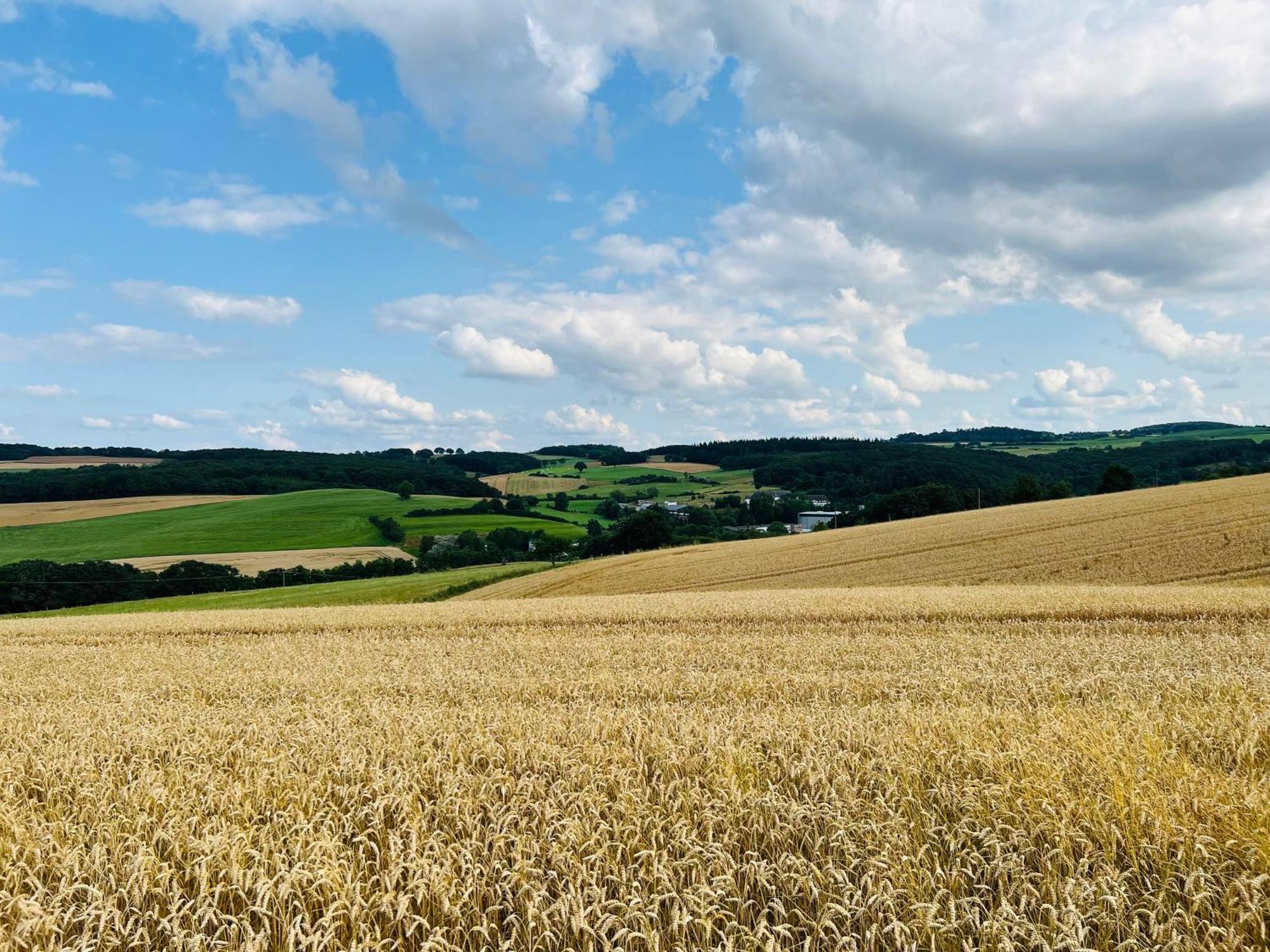 Ferienwohnung In Der Schoenen Eifel! Мехерних Экстерьер фото